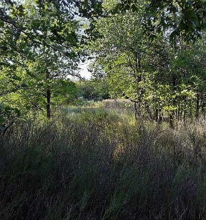 2nd image of 147 Whitetail Ln