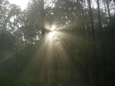 5212 Purnell Rd, Wake Forest, NC, 27587