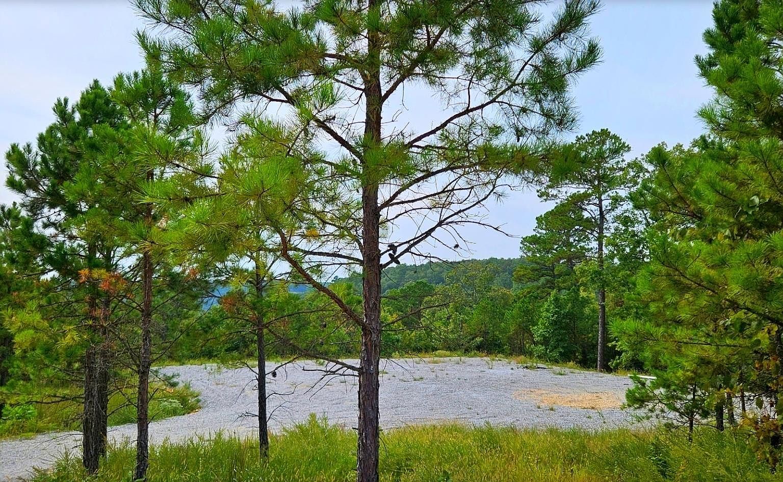 139 Outback Ln, Calico Rock, AR 72519 MLS 127668 Zillow