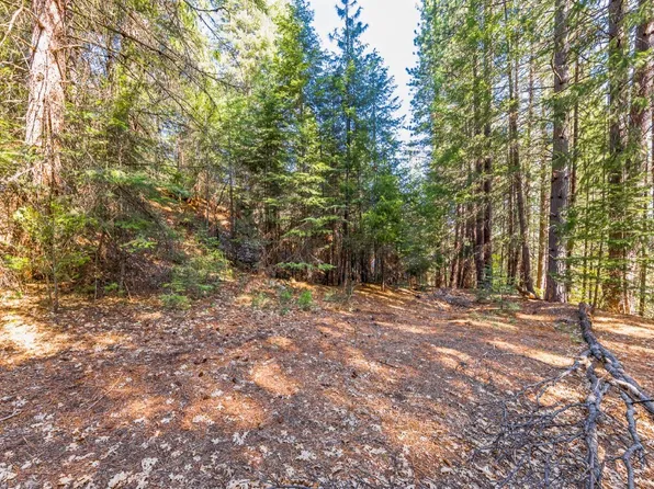 668 W High St, Quincy, CA 95971