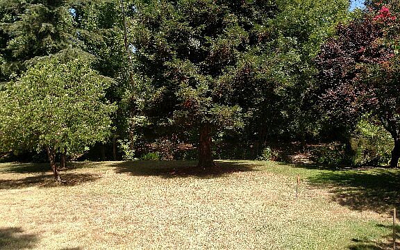 3rd image of 7315 Davlil Way
