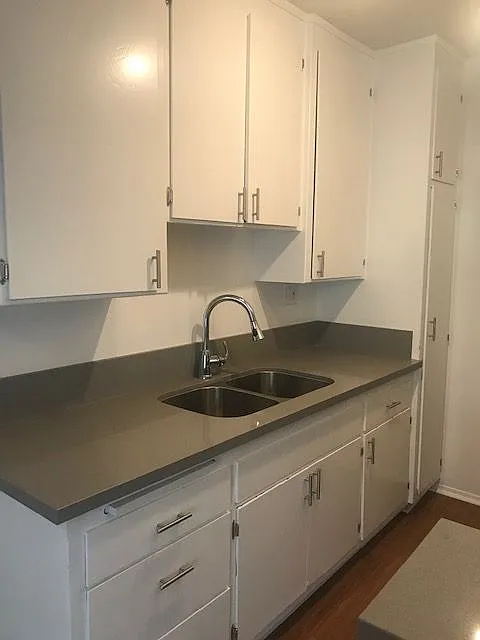 2 bed, 800 sqft, $2,350 — Photo 3