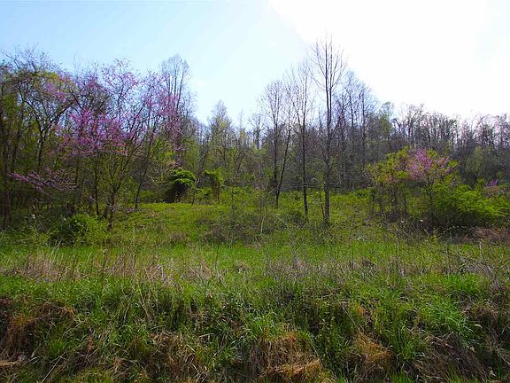 4th image of 525 Shoal Creek Rd