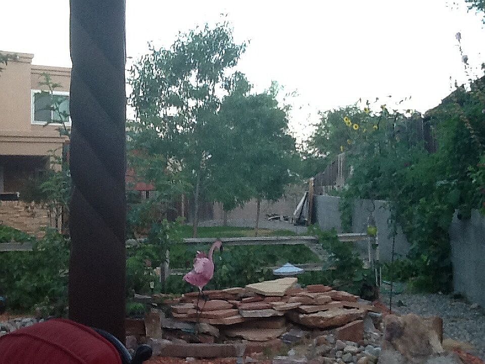 1st image of 4949 Rosemary Dr NW