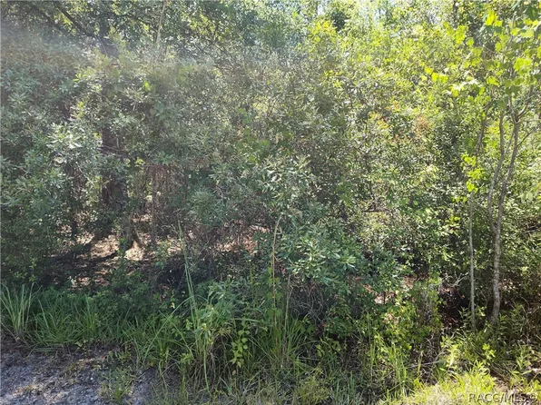 LOT NE 66th Ave #A, Citra, FL 32113