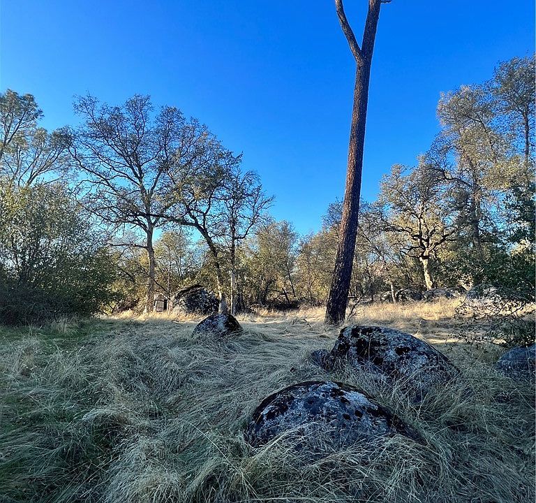 4248 Burl Dr, Mariposa, CA 95338 Zillow