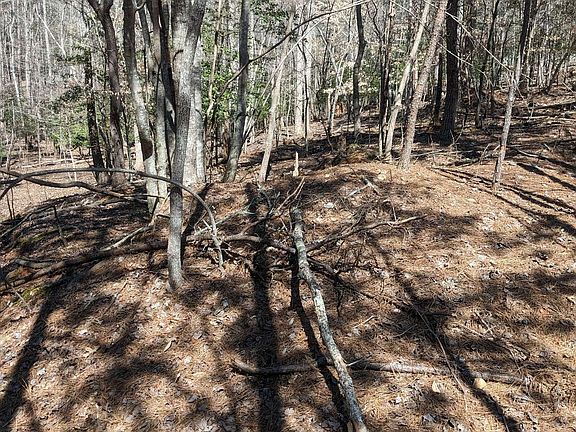 5th image of LOT 354 Tara Ln