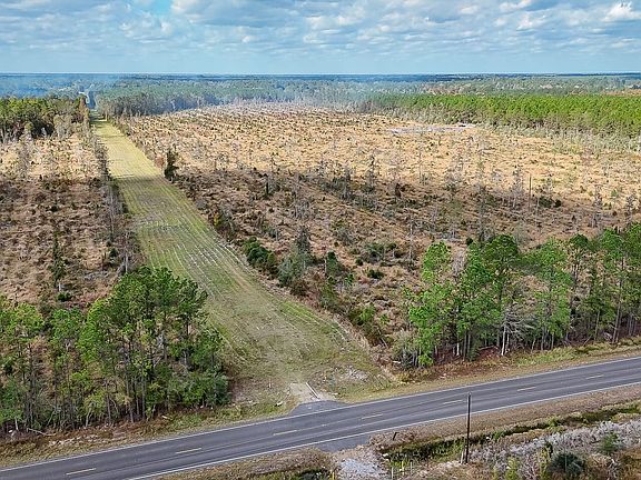 Compass South Land Sales Louisiana Alligator Park Road 4