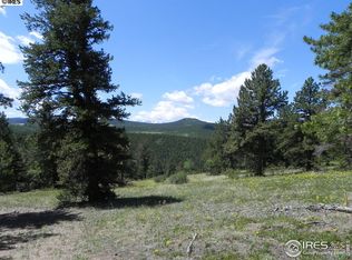 49 Pickle Point, Black Hawk, CO 80422