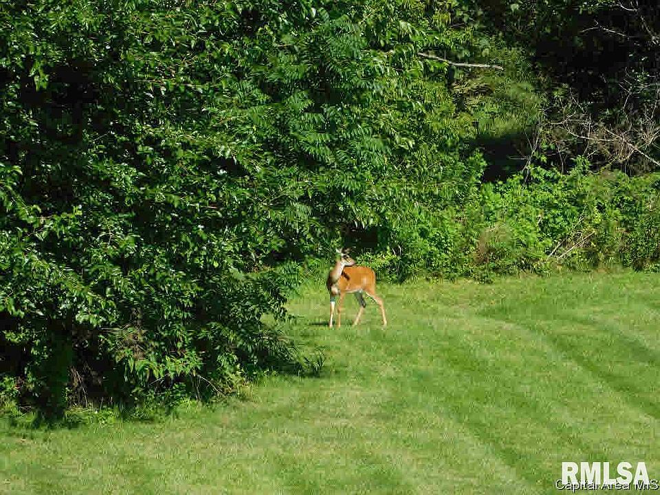 1st image of 105 Manor Hill Dr