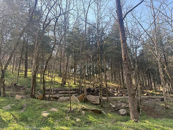 4th image of 940 Riley Creek Rd