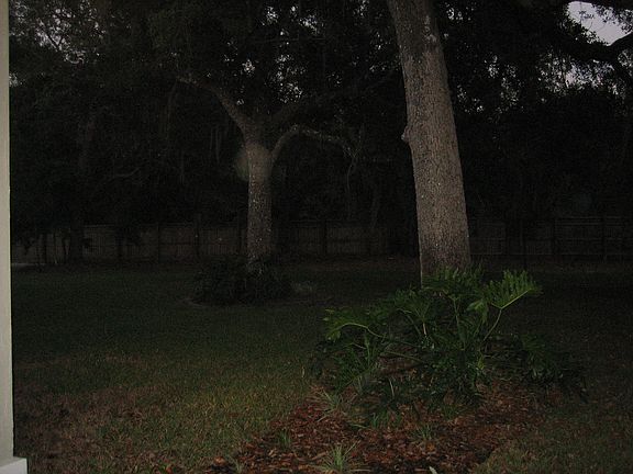 4th image of 3845 Paddington Pl