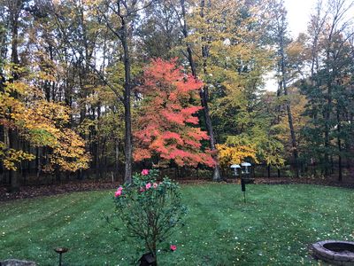 25 Norman Ln, Succasunna, NJ, 07876