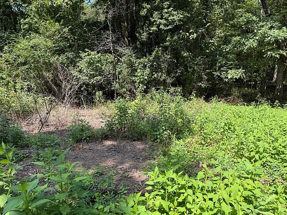 5th image of 0 McDearmon Rd