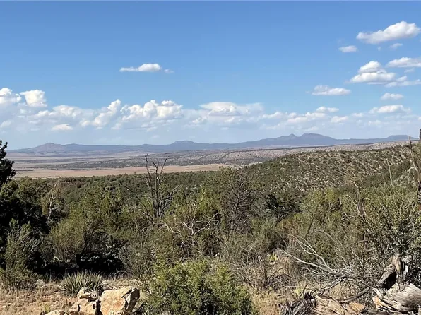 46675 N Edge Ridge Road, Seligman, AZ 86337
