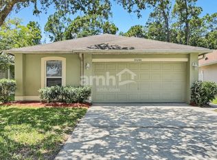 30208 Birdhouse Dr, Wesley Chapel, FL 33545