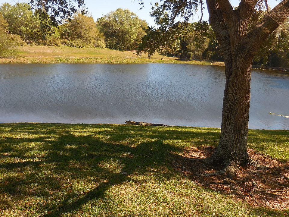 2nd image of 5209 Far Oak Cir