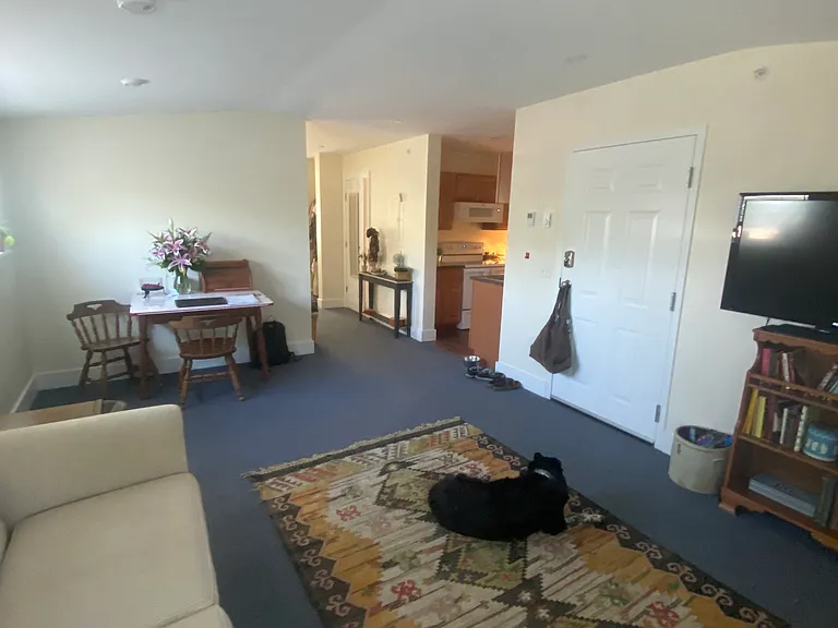 91 E Spring St #F — Photo 10