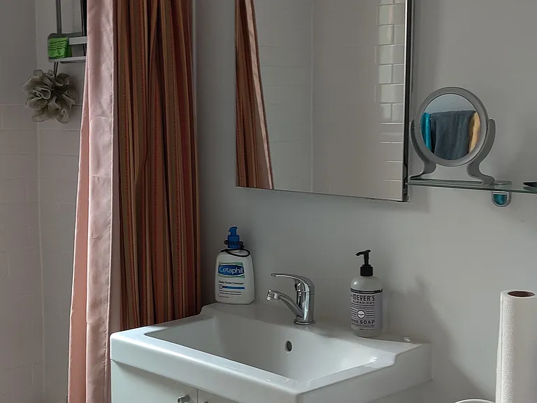 Bathroom view, with waterfall showerhead