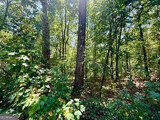 5th image of 40 Crescent Dr