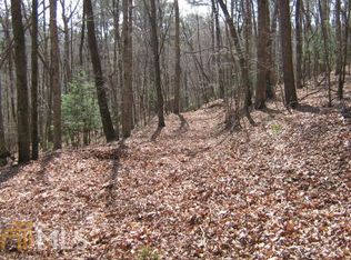 0 Harold Pritchett Rd, Ellijay, GA 30540