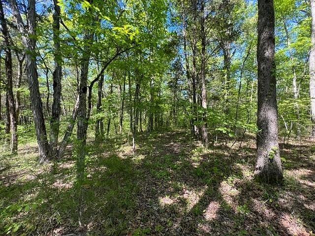 2nd image of 0 Joe Brown Rd