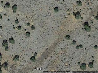 100 Great White Father Rd, Pinehill, NM 87357