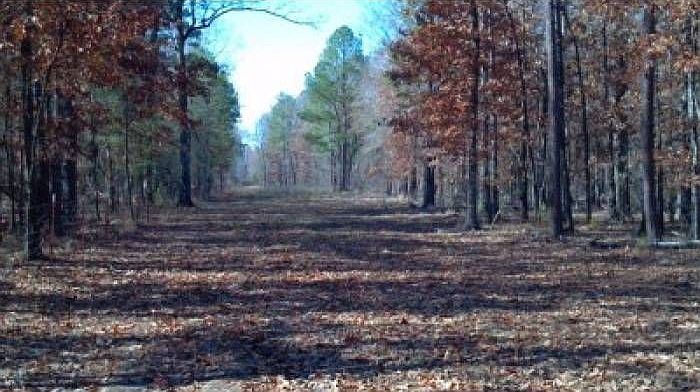 Interior view of property