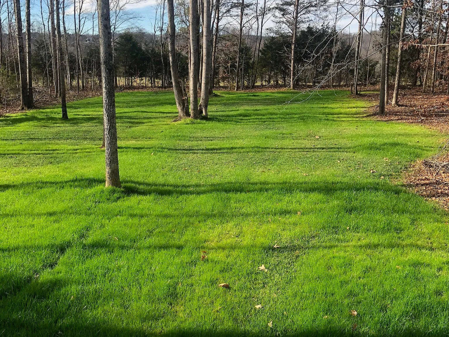 182 Rain Shadow Dr — Photo 2