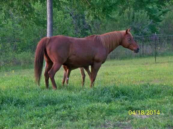 4th image of 1212 Acr 3194 #11.6 Acres