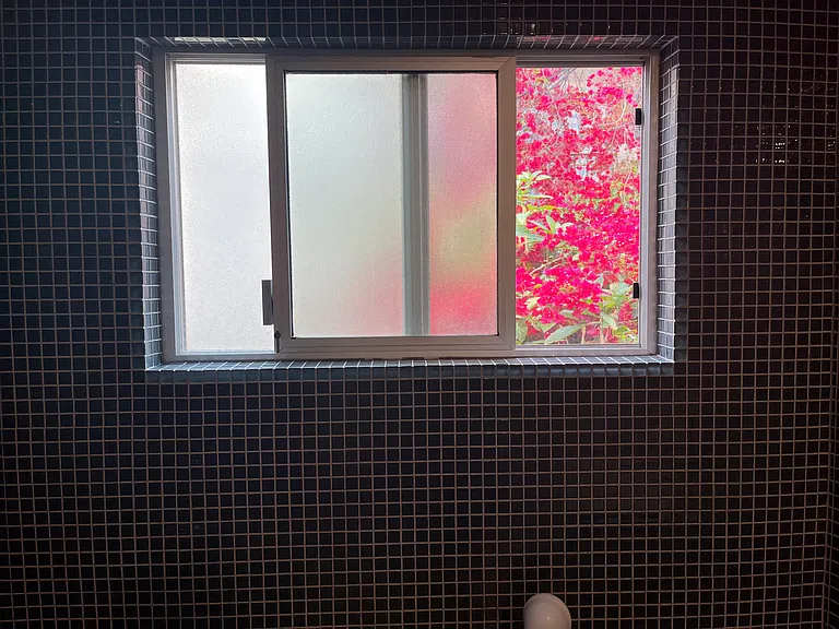 Flowers out of every window