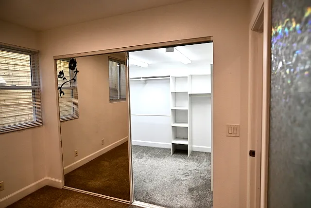 Bedroom closet