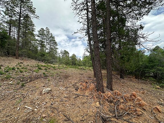 2nd image of 19 Brazos Ests