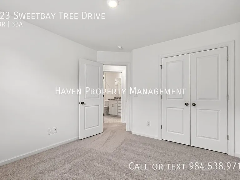 323 Sweetbay Tree Dr — Photo 24
