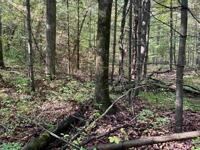 733 E Cranberry Lake Rd, Harrison, MI, 48625