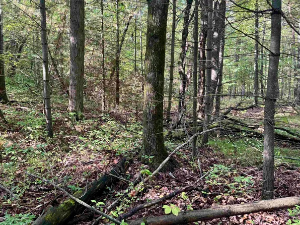 733 E Cranberry Lake Rd, Harrison, MI 48625