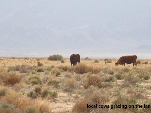 5th image of Lot 122 E Cactus Wren Drive
