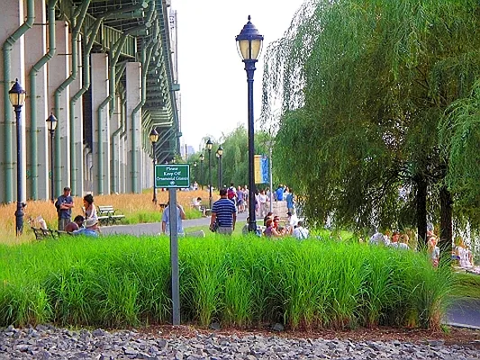 Rented by Profit Realty | media 13