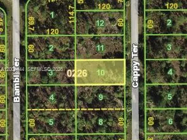 13347 Cappy Ter, Punta Gorda, FL 33955