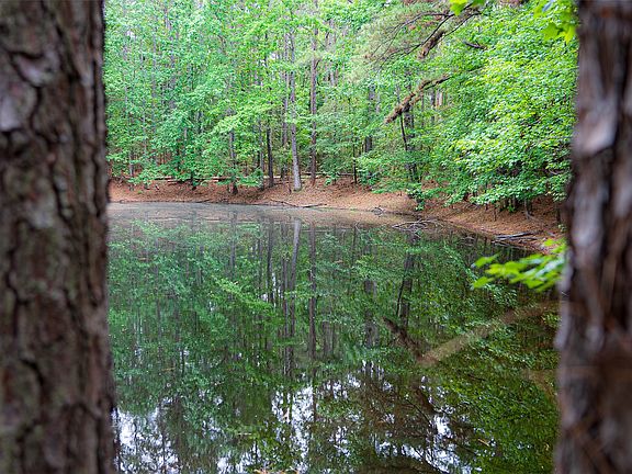 3rd image of 302 An County Rd #3914