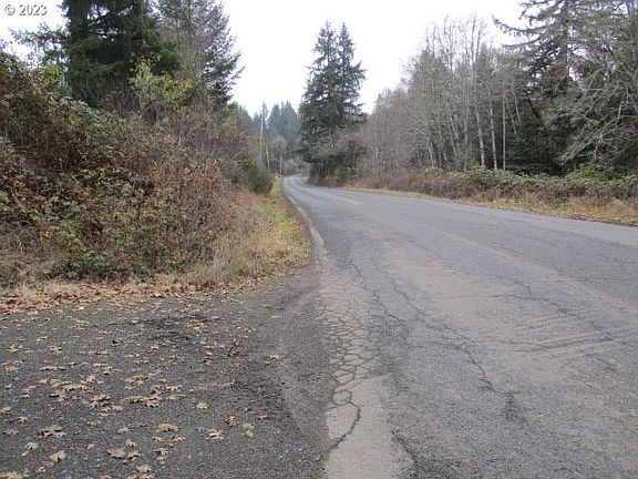 2nd image of 0 SW Buck Hollow Rd
