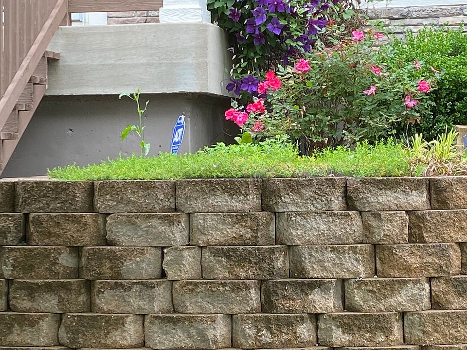 Front porch and flowers