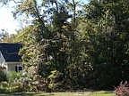 Saint Marys, EDELWEISS COTTAGE CONSTRUCTED BY WH GROSS FOR