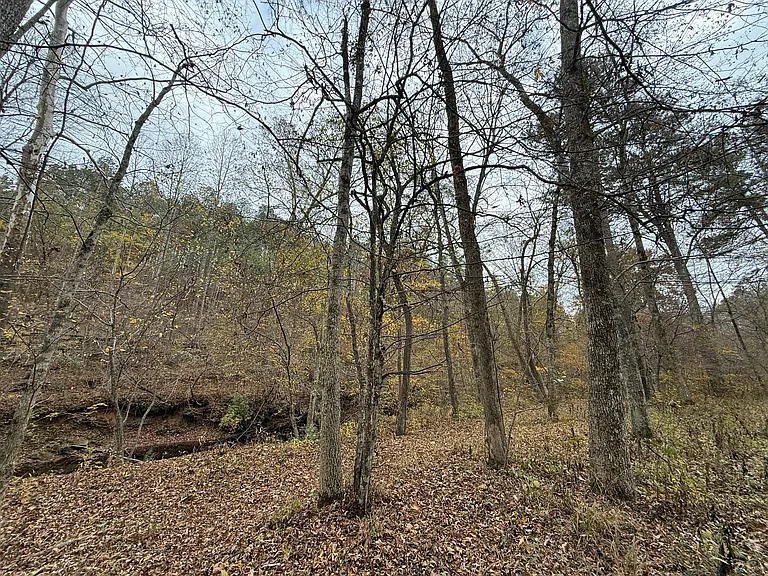 254 Calming Water Trl — Photo 8