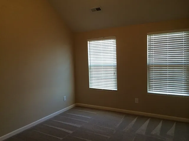 1012 Early Rise St — Photo 13