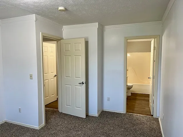 3 Stortz Dr — Photo 19