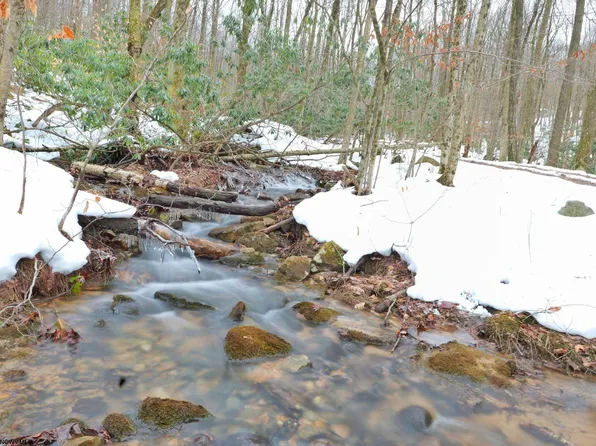 Frog Hollow Rd, Tunnelton, WV 26444