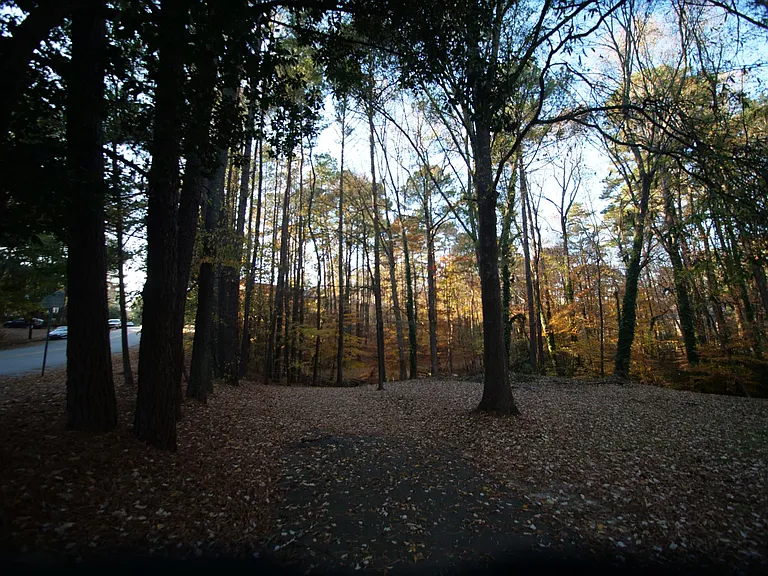 5985 Dixon Dr #B — Photo 7