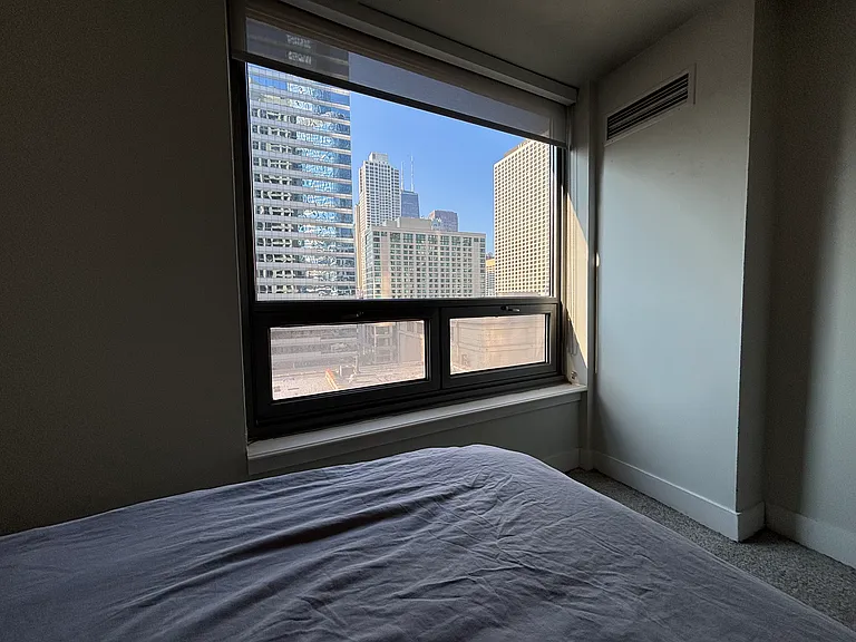 440 N Wabash Ave #1208 — Photo 11