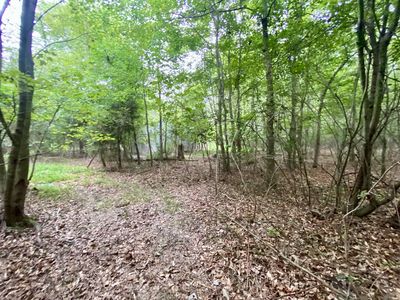 0 Growden Ln LOT TRCT 2, Tullahoma, TN, 37388